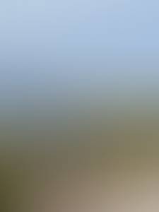 Michele rencontre avec Michele