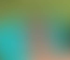 rencontre avec Roderick