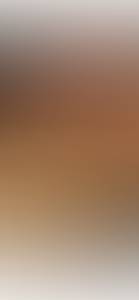 Bert rencontre avec Bert