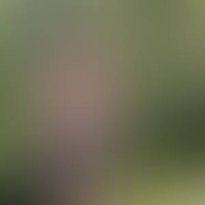 Barry rencontre avec Barry