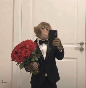 Alvin rencontre avec Alvin