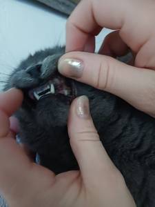 rencontre avec Natalie