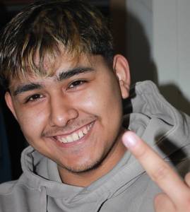 Elviseliasarzee