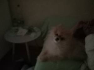 rencontre avec Antonio