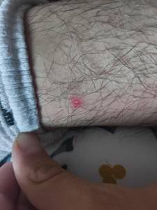 rencontre avec Marvin