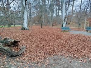 Bernard rencontre avec Bernard