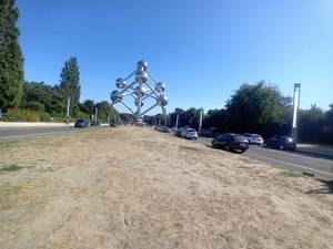  RencontrerEd Roubaix