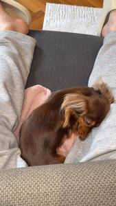 Matteol, femme coquine de 23 ans - Rh�ne