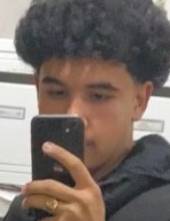 Henry rencontre avec Henry