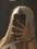 Manon2647, femme coquine de 18 ans - Cher