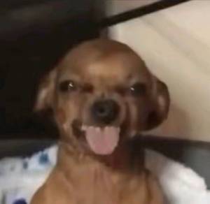 rencontre avec Clinton