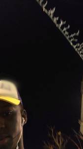 rencontre avec Woodrow