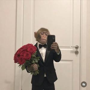 Julius rencontre avec Julius