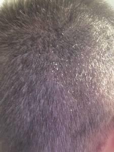 rencontre avec Percy