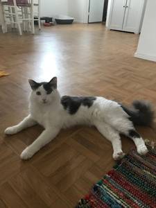 Muriel rencontre avec Muriel