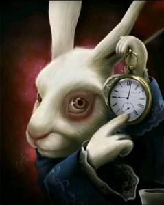 Bruce rencontre avec Bruce