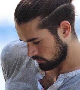 rencontre avec Wilbur