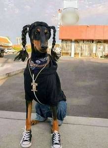 rencontre avec Johnnie