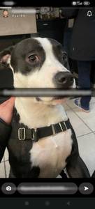 Vernon rencontre avec Vernon