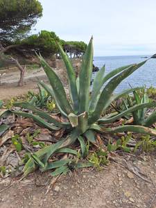 rencontre avec Vickie