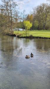 Freda rencontre avec Freda