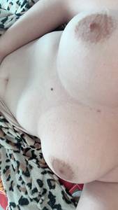 Elisa