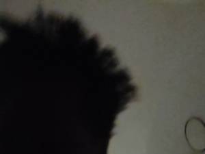Femme célibataire 33 ans à 