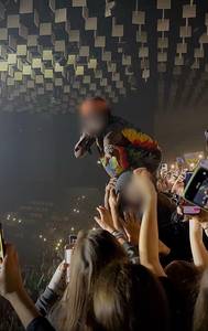 rencontre avec Ellis