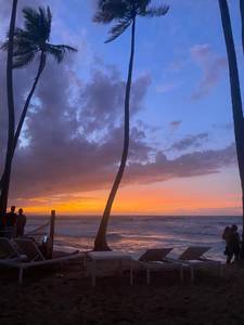 Photo Iris44