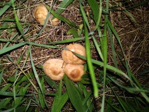 rencontre avec Guillermo