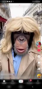 Photo de Profil