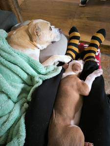 Ismael rencontre avec Ismael