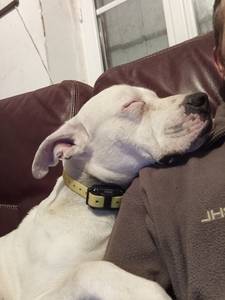 Ernesto rencontre avec Ernesto