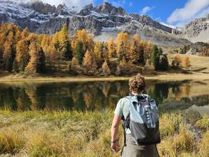 Herbert rencontre avec Herbert