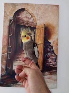 Alinadah22