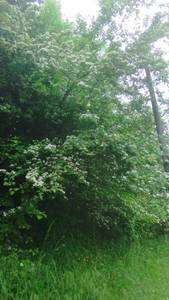 site rencontre gratuit : annonce rencontre  de 