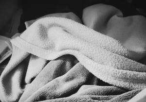 rencontre avec Forrest