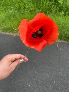 rencontre avec Brandy