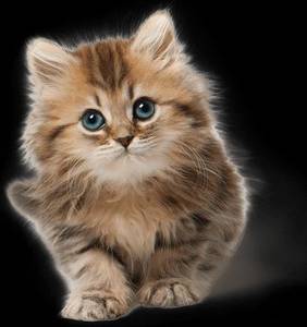 Earl rencontre avec Earl