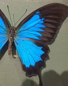 Angie rencontre avec Angie