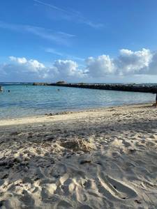 Wilson rencontre avec Wilson