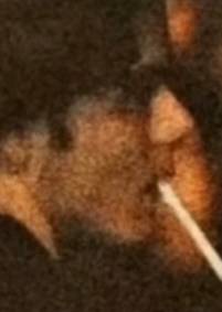 annonce rencontre belgique une femme a Lille