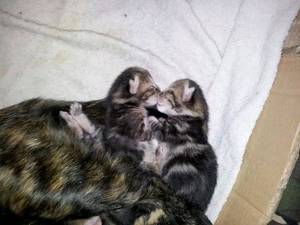 Regina rencontre avec Regina