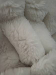 Femme célibataire 21 ans à Toulouse