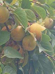 J'ai envie de m'amuser pour nuit ou plusieurs