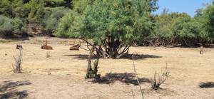 Orlando rencontre avec Orlando