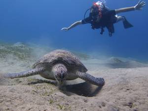 rencontre avec Angel