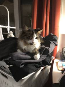 Femme célibataire 23 ans à Annecy