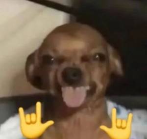 Limasoareskeil, femme coquine de 18 ans - Caapiranga