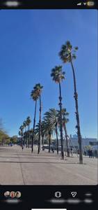 rencontre avec Agnes